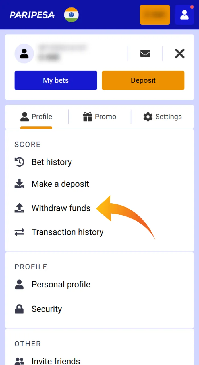 Tap the profile symbol to access a PariPesa menu.